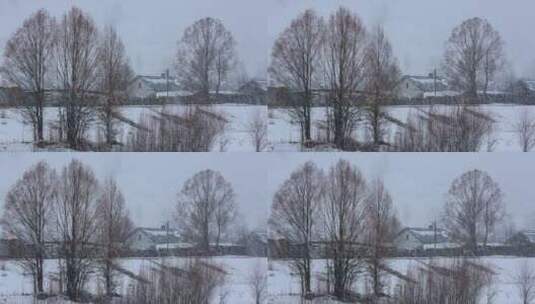 航拍东北林区下雪时山村高清在线视频素材下载
