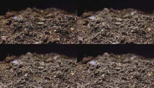 土壤延时摄影高清在线视频素材下载