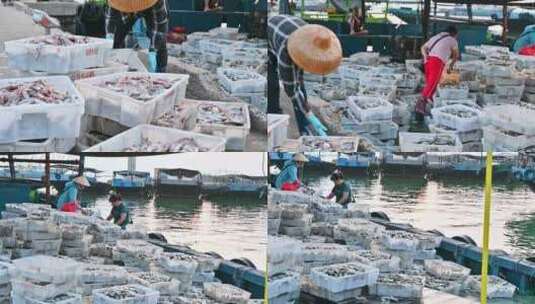 海南儋州洋浦白马井渔港早上渔船回归，新鲜高清在线视频素材下载