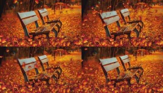 秋天公园的座椅飘落的枫叶高清在线视频素材下载
