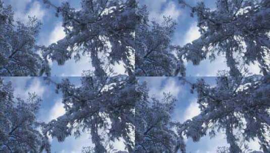 雪景蓝天高清在线视频素材下载