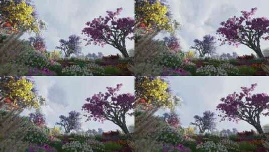 花园中五颜六色的花高清在线视频素材下载