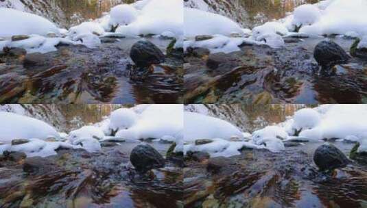 大雪后的溪流高清在线视频素材下载
