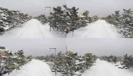 大雪道路松树 白色童话世界高清在线视频素材下载