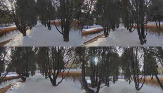 第一视角行走在雪中的林荫路上高清在线视频素材下载