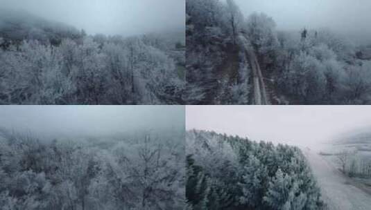 航拍冬季森林雾凇寒流严寒树枝上冰雪高清在线视频素材下载