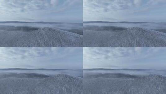 银色山林雾凇冻雾高清在线视频素材下载