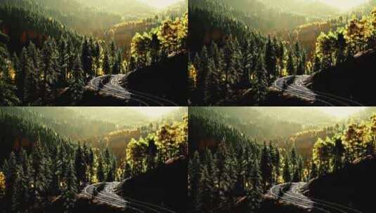 日落时宁静的森林之路高清在线视频素材下载