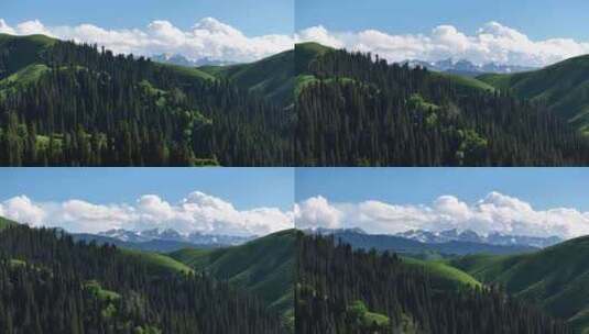新疆恰西唯美震撼森林雪山航拍7高清在线视频素材下载