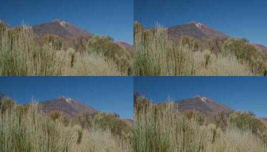 泰德，火山，特内里费岛，加那利群岛高清在线视频素材下载