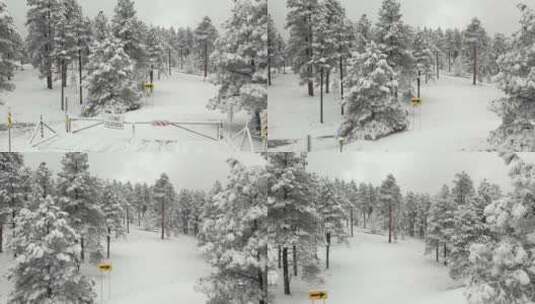 封路标志和白雪皑皑的森林高清在线视频素材下载