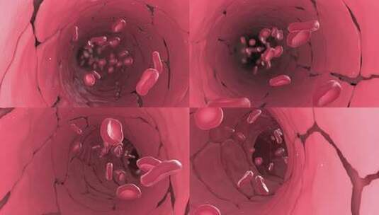 红细胞在血管内游走医学动画高清在线视频素材下载