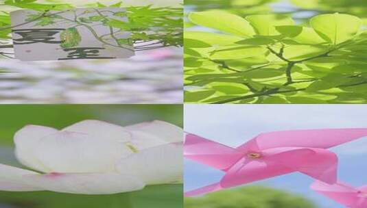 【竖屏】夏至节气夏天小清新空镜合集高清在线视频素材下载