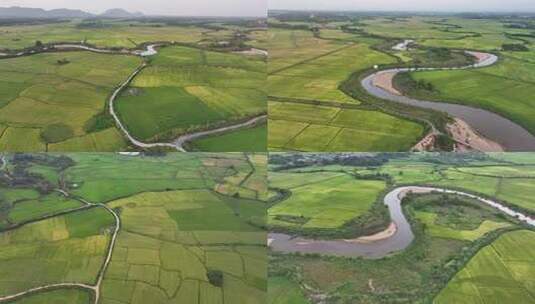 江西金溪：蜿蜒河流灌溉金黄的稻田水稻丰收高清在线视频素材下载