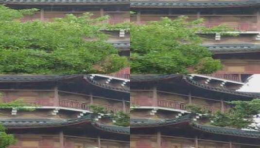 竖版航拍寺庙下雨素材苏州北寺塔实拍高清在线视频素材下载