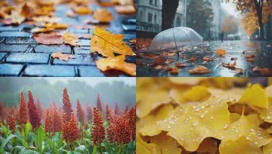 秋雨 暴雨 下雨高清在线视频素材下载