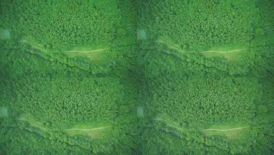 吉林通化长白山森林俯视航拍高清在线视频素材下载