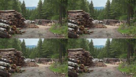 锯木厂的木桩高清在线视频素材下载