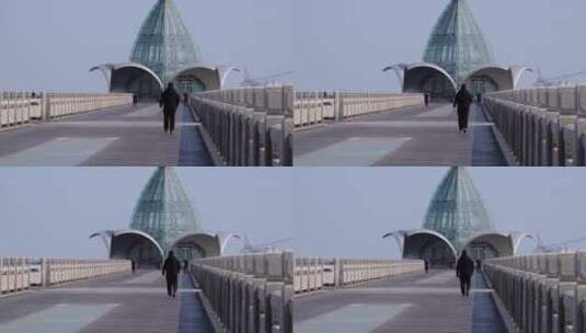 观光栈桥散步的游客60帧高清在线视频素材下载