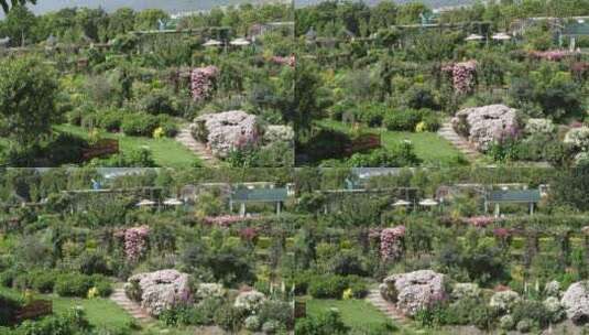 【精品】花园园艺园林月季园玫瑰花高清在线视频素材下载