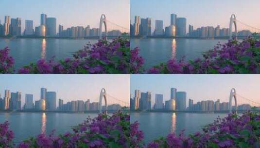 江岸鲜花绽放与清晨阳光下的城市高楼景观高清在线视频素材下载