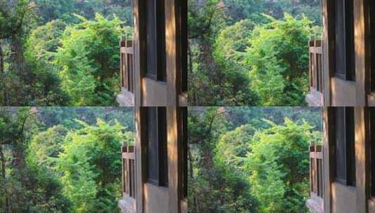 深山中的阳台风景高清在线视频素材下载