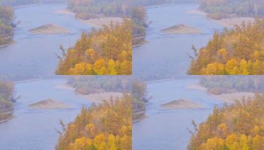 深秋山谷中的河流  山谷 河道 树丛前景高清在线视频素材下载