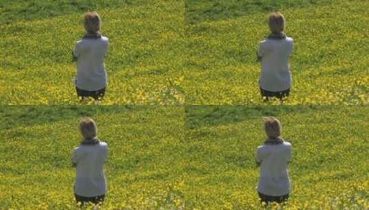 一个女人凝视着黄色的花田高清在线视频素材下载