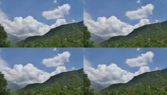 森林上空的云高清在线视频素材下载