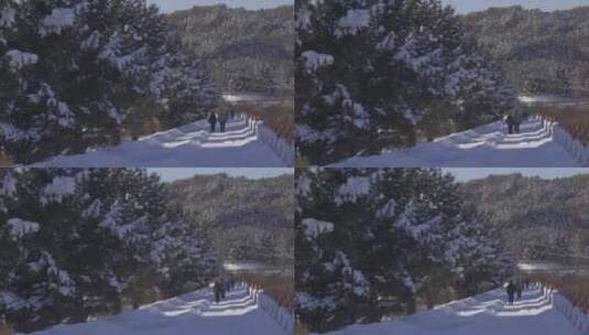 雪中漫步高清在线视频素材下载