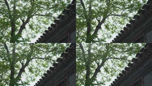 北京四合院历史建筑门楼大门高清在线视频素材下载