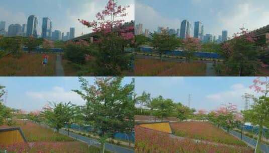 开满鲜花的佛山桂城滨江公园-3高清在线视频素材下载