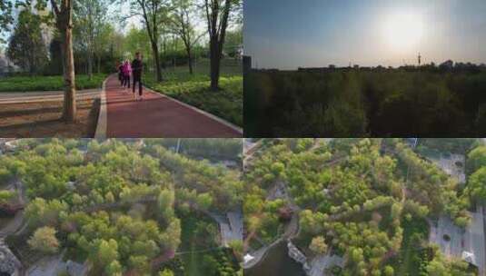 清晨公园里的跑步爱好者高清在线视频素材下载