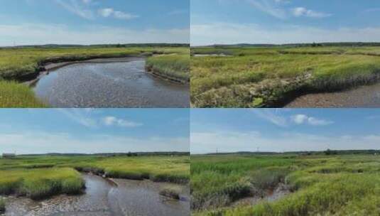 湿地生态湿地公园航拍湿地高清在线视频素材下载