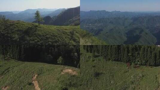 晴天高山草原奔跑行走的少年高清在线视频素材下载