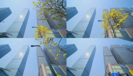 南宁五象新区 现代化高楼林立城市穿梭高清在线视频素材下载