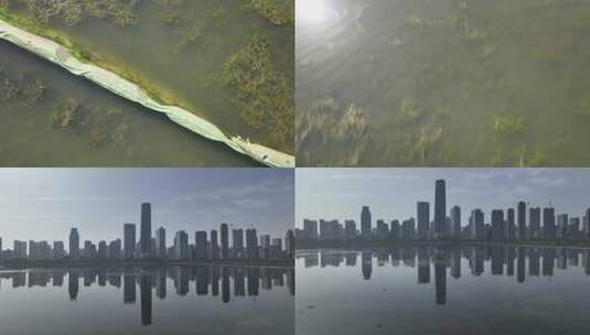 武汉沙湖公园清晨航拍高清在线视频素材下载