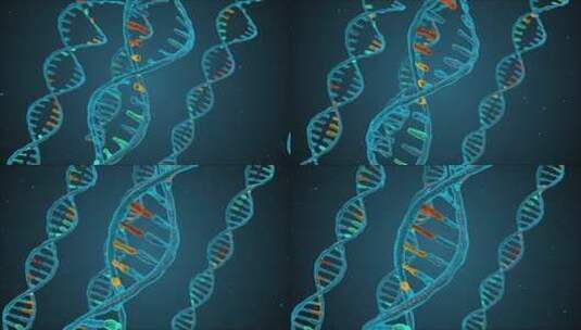人类细胞  生物细胞 DNA  螺旋高清在线视频素材下载
