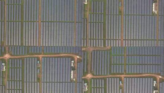 湿地大面积太阳能发电高清在线视频素材下载