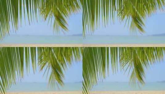 海边沙滩椰子树热带风景高清在线视频素材下载