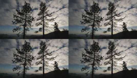 日落时分穿过树木的云高清在线视频素材下载