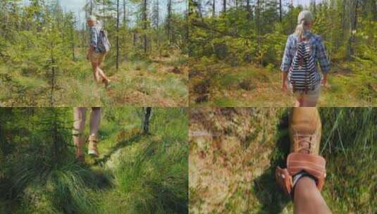 森林大自然树林徒步探险户外自然原始森林山高清在线视频素材下载