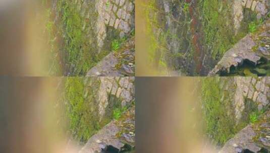 山里 小溪 溪流 苔藓高清在线视频素材下载