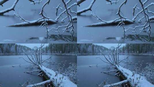 唯美冬季雪花飘高清在线视频素材下载