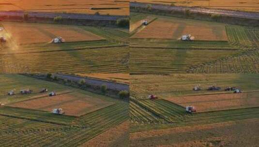 夕阳下收割机在稻田收割水稻高清在线视频素材下载