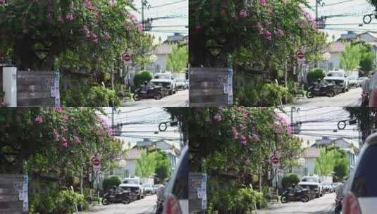泰国清迈绿植花园街道街景高清在线视频素材下载