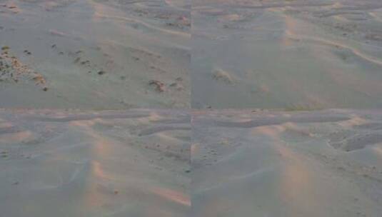 沙漠  阿拉善沙漠高清在线视频素材下载