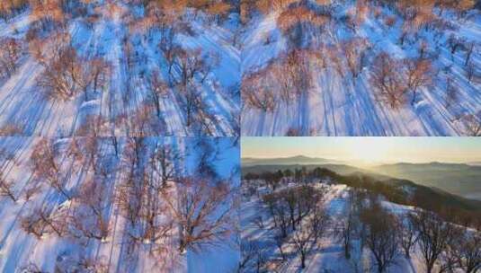 东北冬天吉林长白山雪景森林光影高清在线视频素材下载