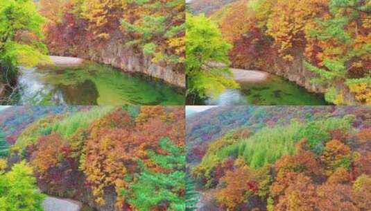 高清航拍上升秋季美丽的山林秋天森林实拍高清在线视频素材下载