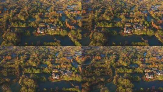 杭州西溪湿地光影秋色航拍高清在线视频素材下载